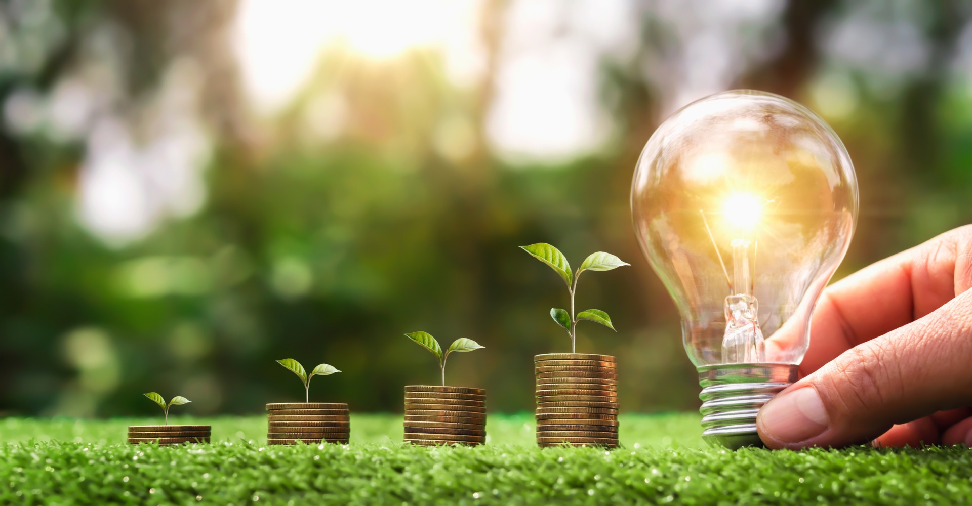 Entitățile publice pot obține finanțări de până la 10 milioane de euro pentru energie regenerabilă