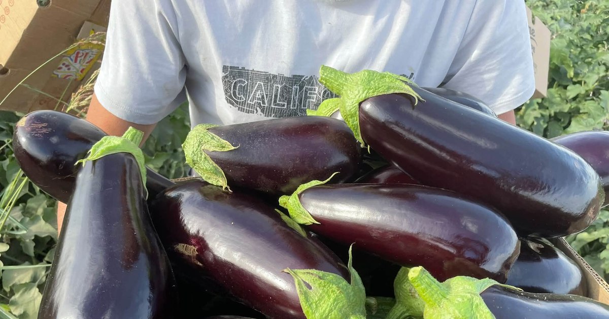 Prețurile la legume în piețele en-gros: vânăta este vedeta sezonului de toamnă