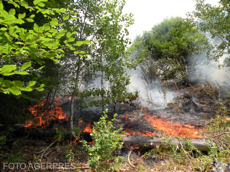 Operațiuni masive în Băile Olănești pentru stingerea unui incendiu de pădure de 27 de hectare