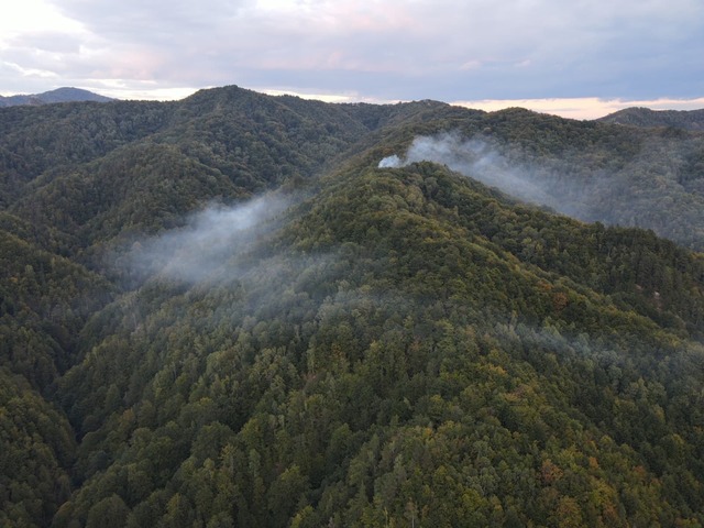 Incendiu de pădure în județul Vâlcea: 27 de hectare au fost afectate de flăcări