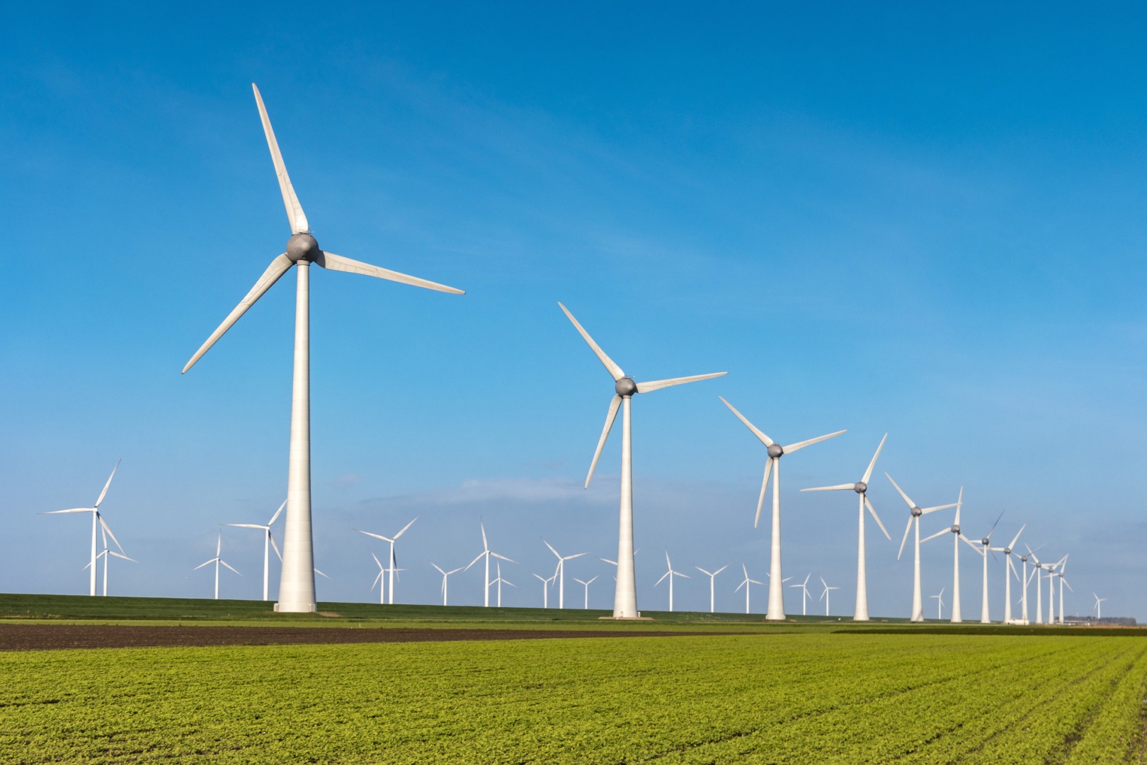 Record de producție eoliană în România: vântul a generat peste 41% din energia sistemului național