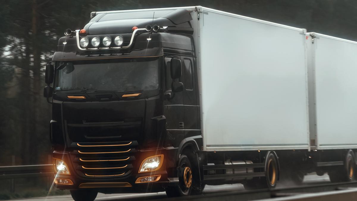 Inițiativă la Senat pentru amânarea amenzilor și a taxei TollRo pentru transportatori
