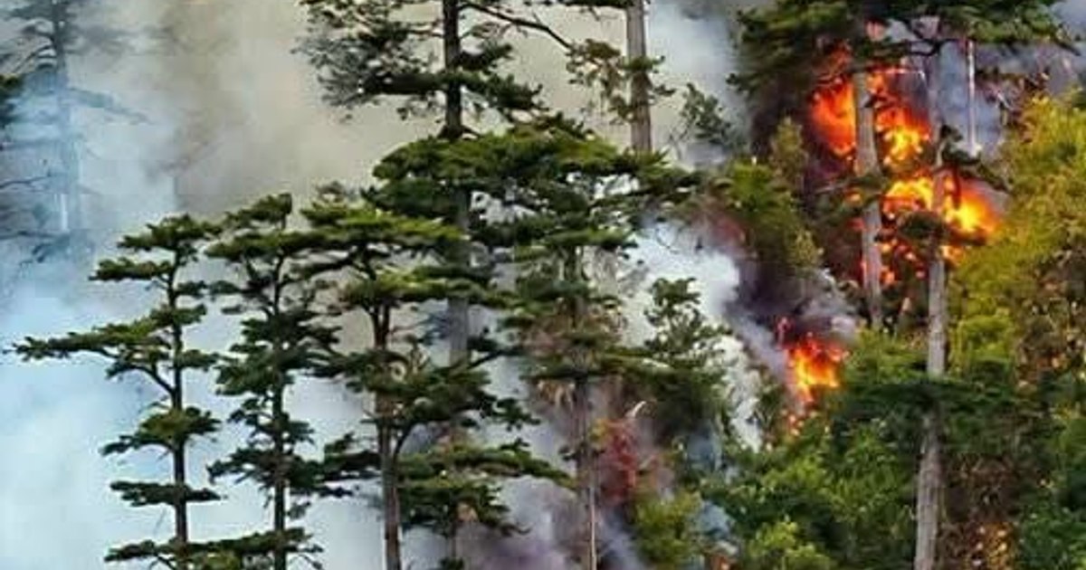 Incendiu masiv în Parcul Național Domogled – Valea Cernei: două elicopterm din rezerva rescEU intră în acțiune