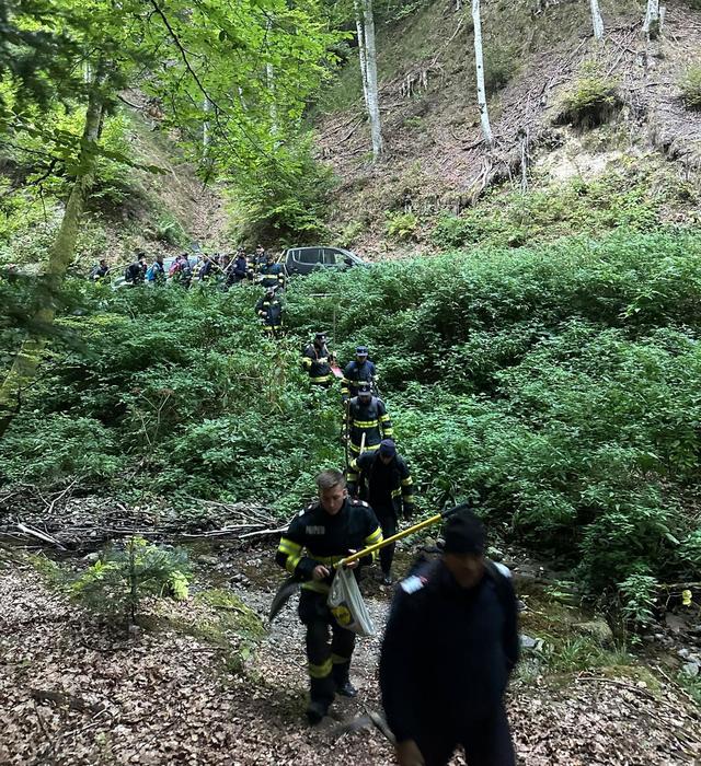 Incendiu de fond forestier în Vâlcea: 31 de hectare sunt afectate în zona Băile Olănești