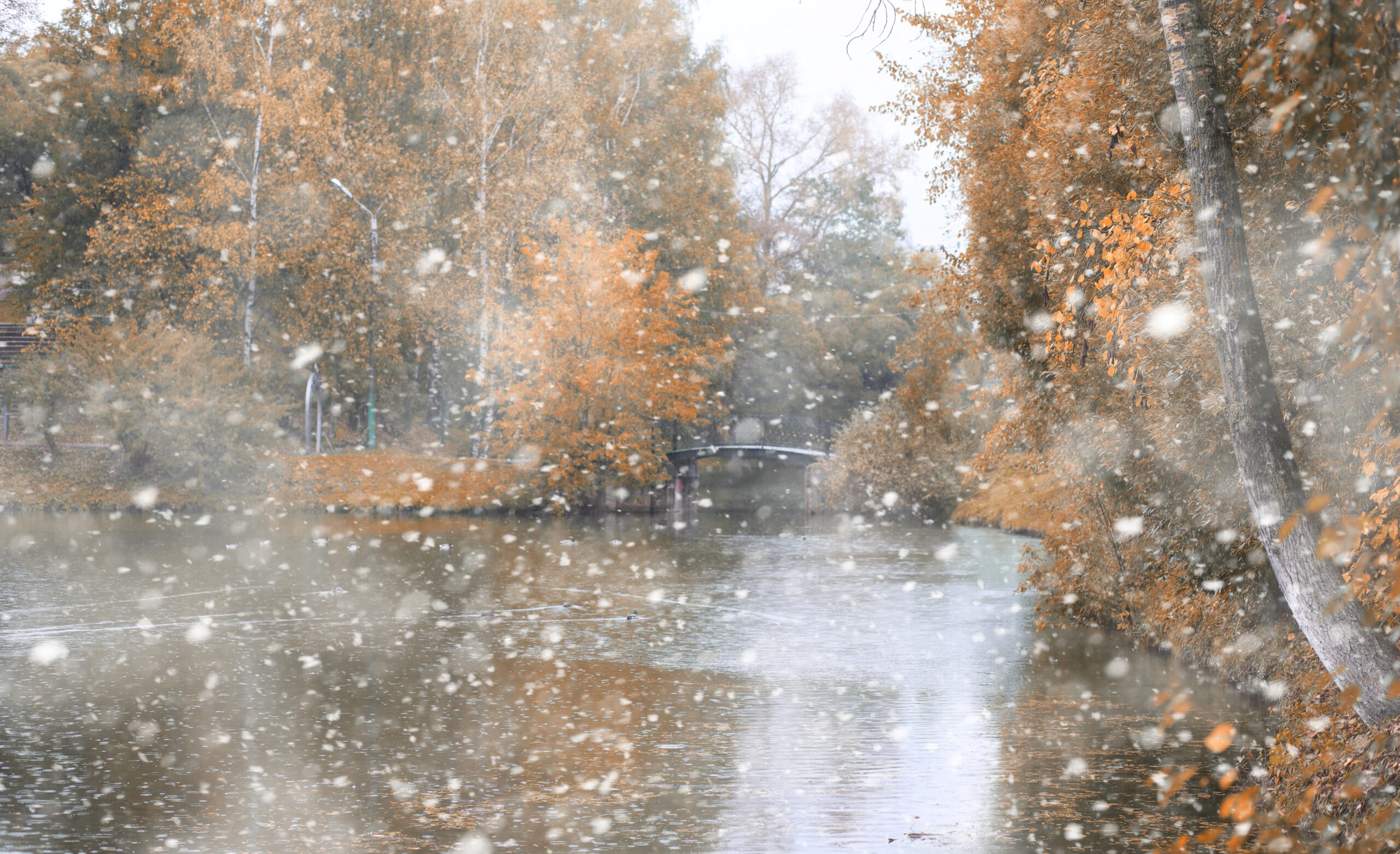 Prognoza meteo pentru octombrie: Vremea se schimbă în România, vin primele ninsori la munte
