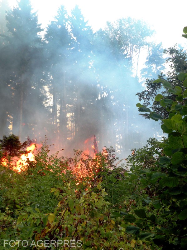 Incendiu masiv în Parcul Național Domogled – Valea Cernei: peste 100 de salvatori luptă cu flăcările