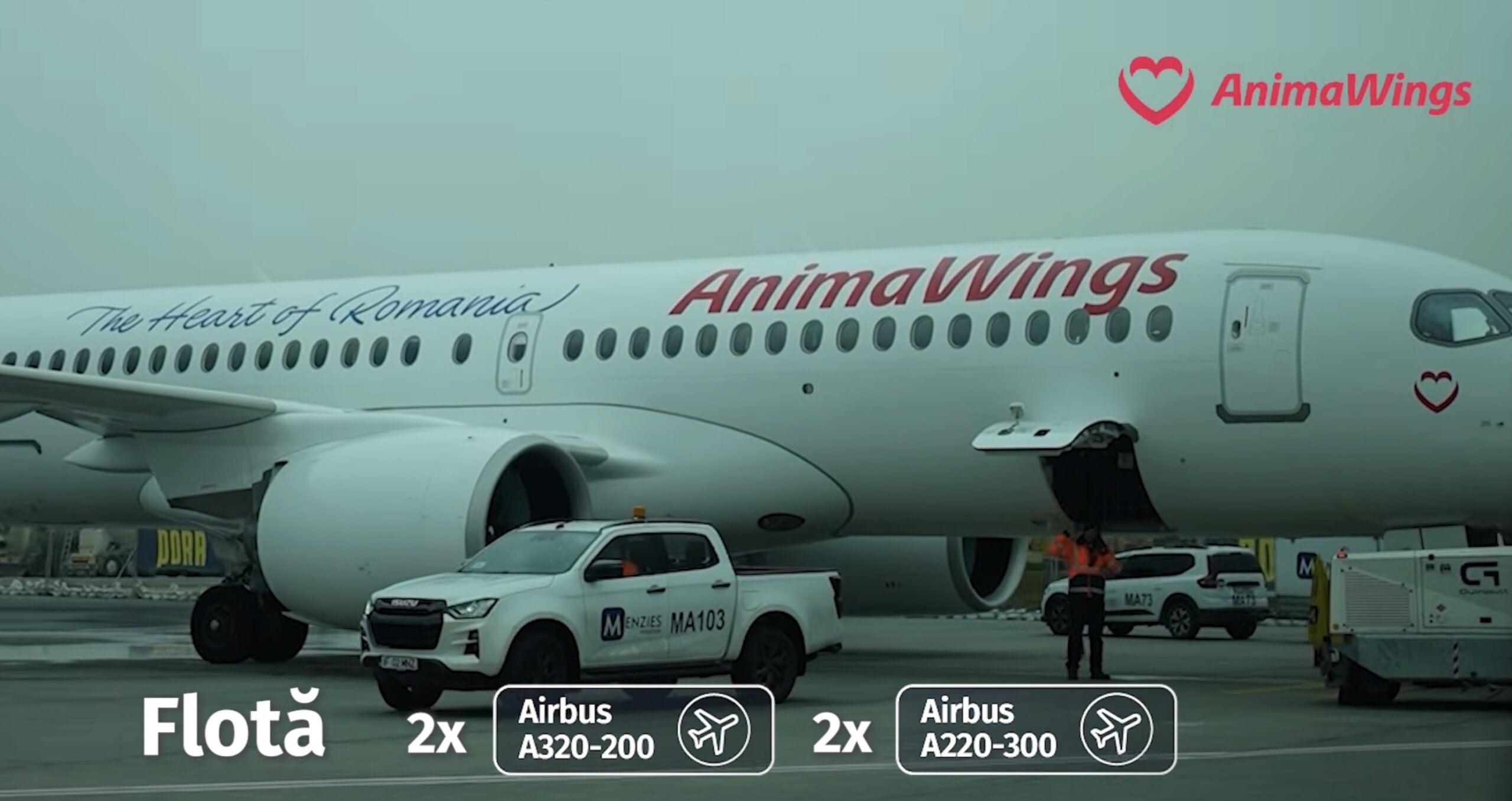 AnimaWings neagă problemele cu plata leasingului; compania are datorii de peste 11,5 milioane de lei