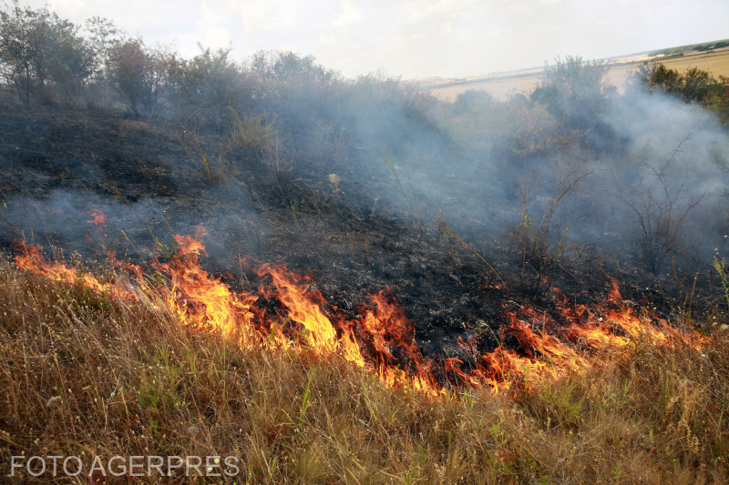 Incendii masive în Parcul Național Domogled – Valea Cernei și în zona Băile Olănești