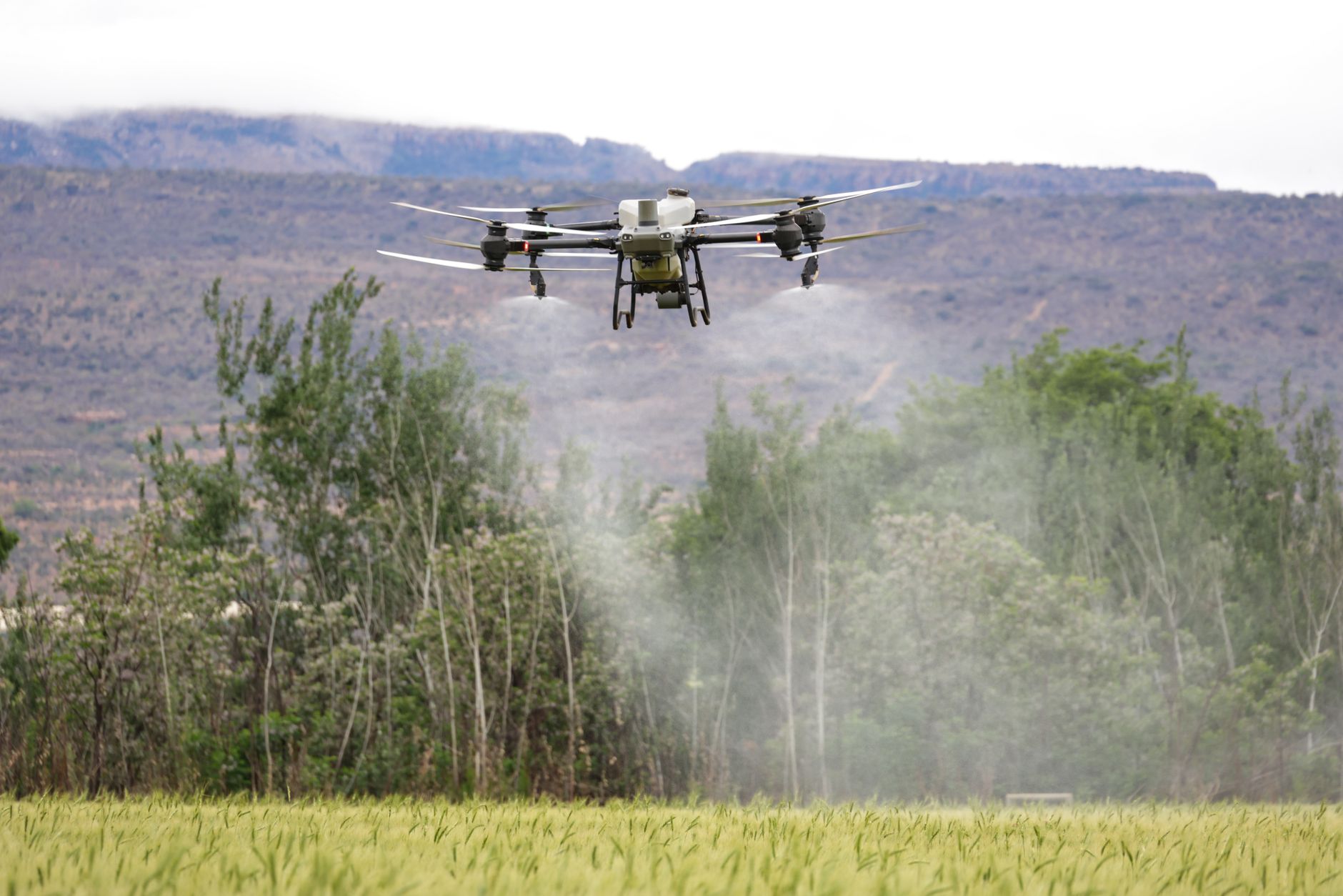 Dronă cu explozibil prăbușită lângă Brăila: s-a produs un incendiu pe un teren agricol