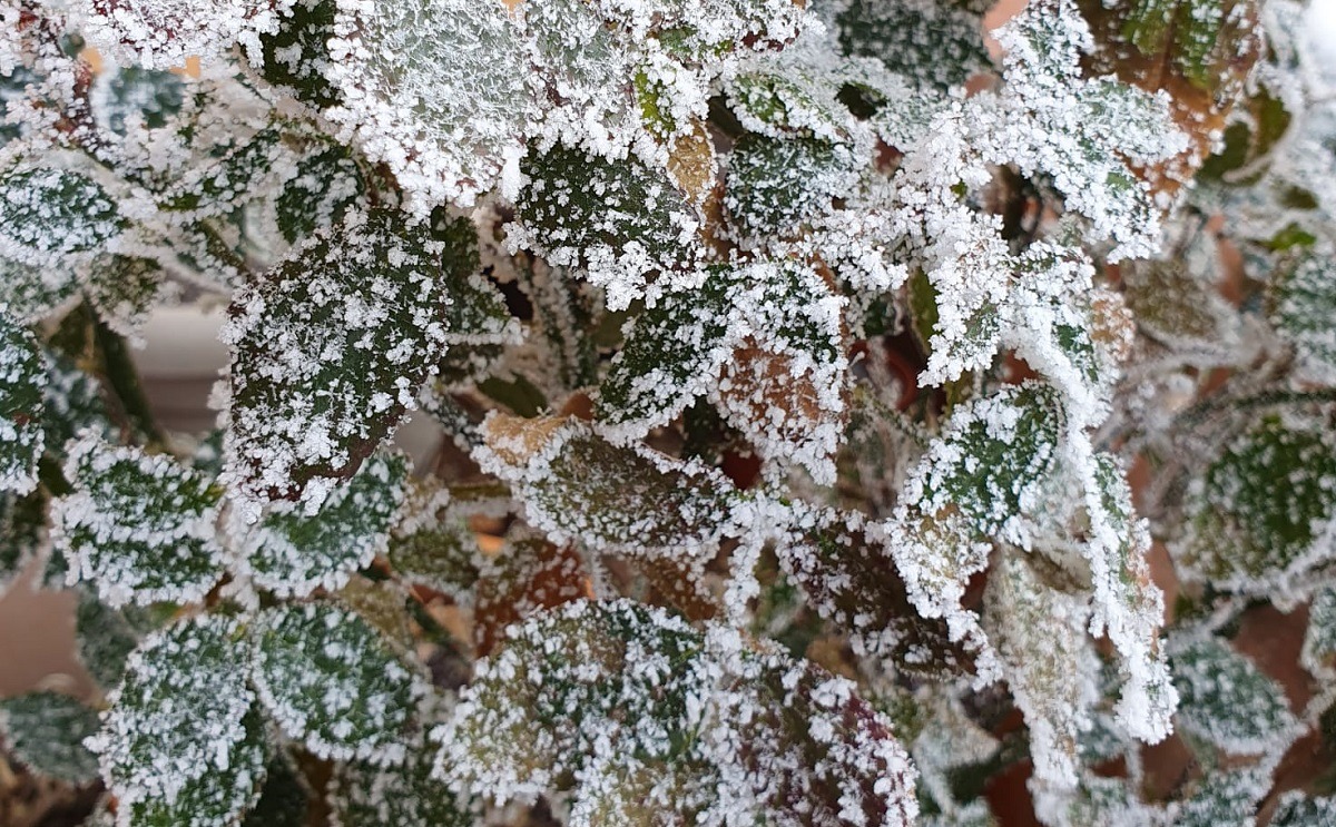 Temperaturi sub zero în Harghita: Miercurea-Ciuc a înregistrat minus 3,7 grade Celsius