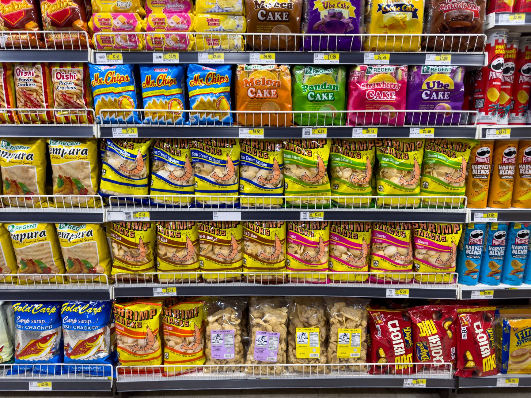 Lidl lansează noul brand Max & Mila’s World pentru animale de companie în România