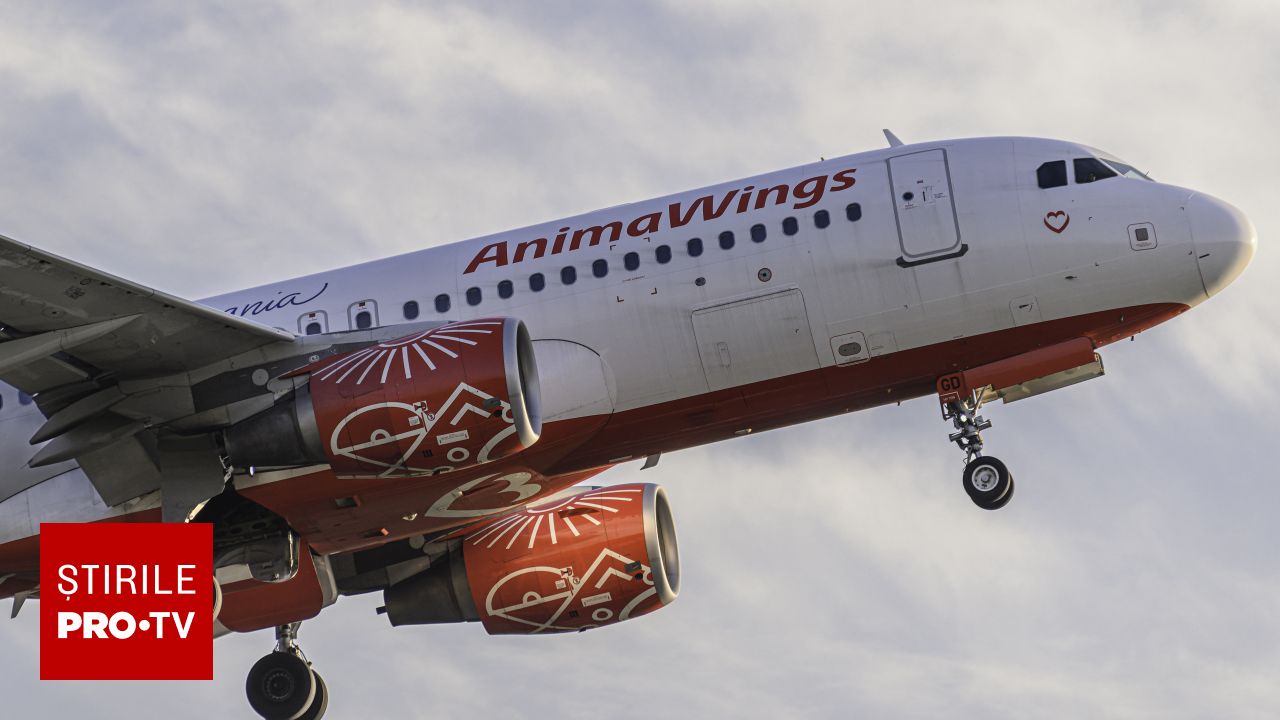 Compania AnimaWings intră în insolvență din cauza unor probleme tehnice ale avioanelor