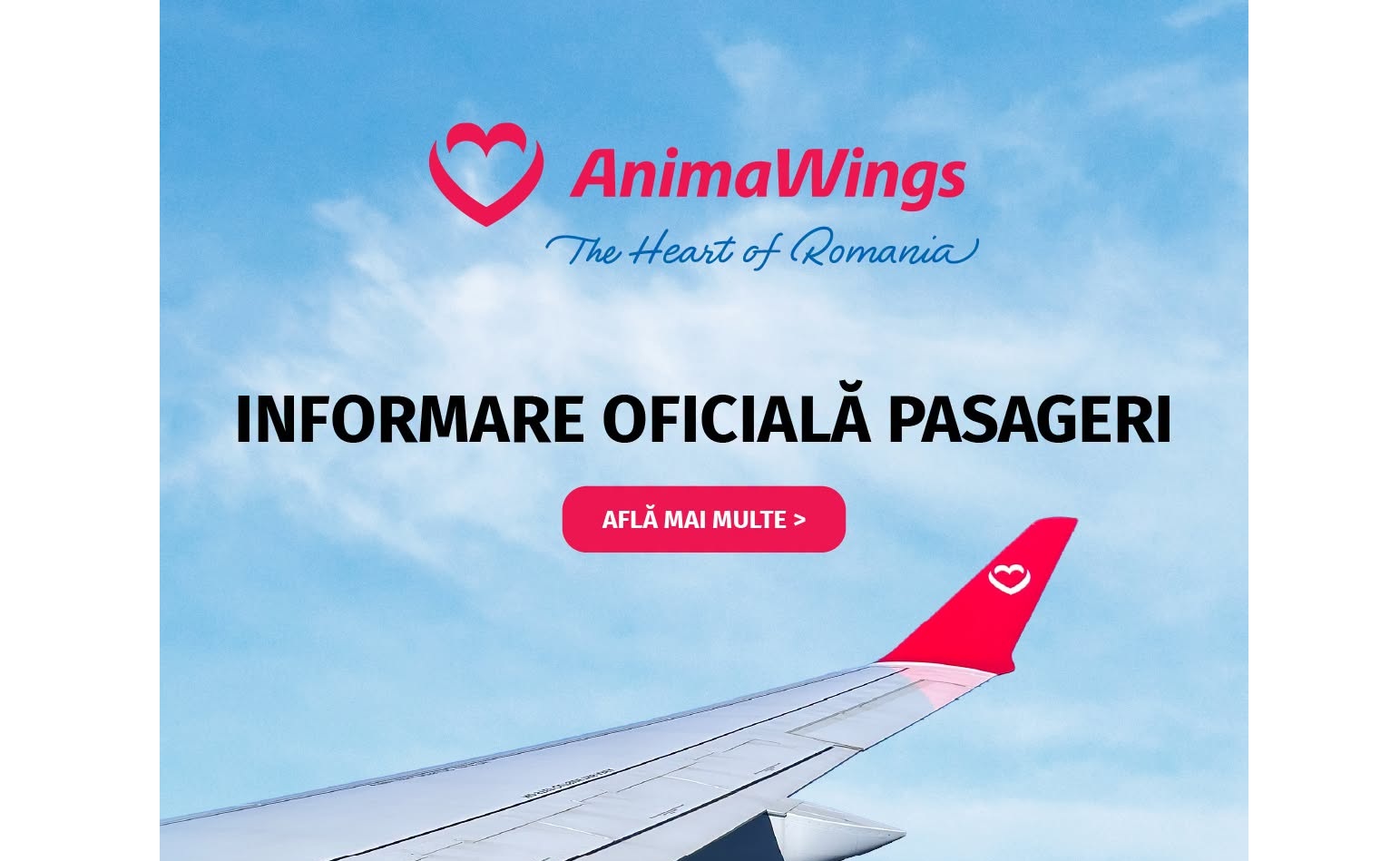 Compania aeriană AnimaWings a inițiat procedura de reorganizare judiciară