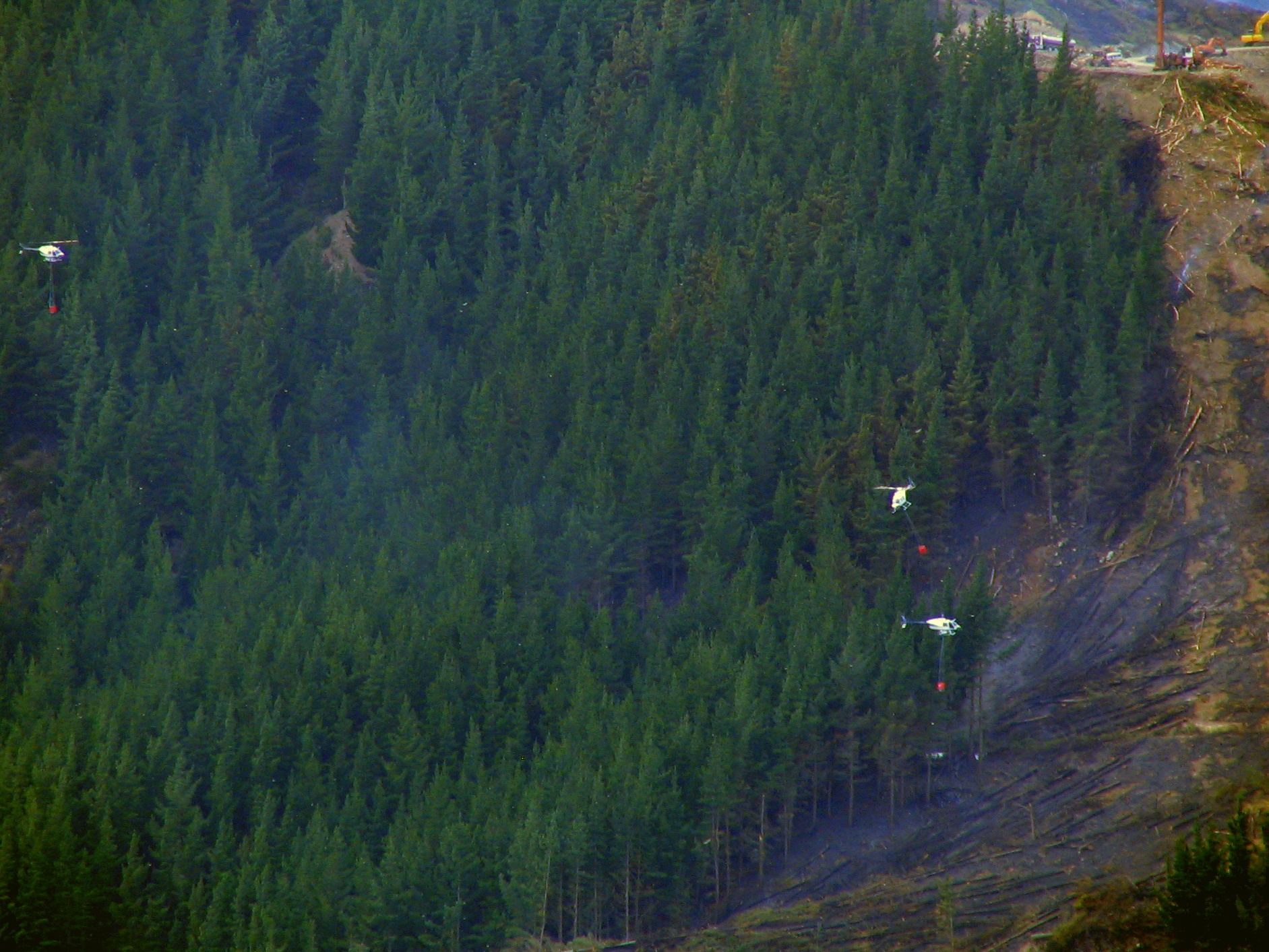 Sute de salvatori luptă cu flăcările în Caraș-Severin și Vâlcea pentru stingerea incendiilor de pădure
