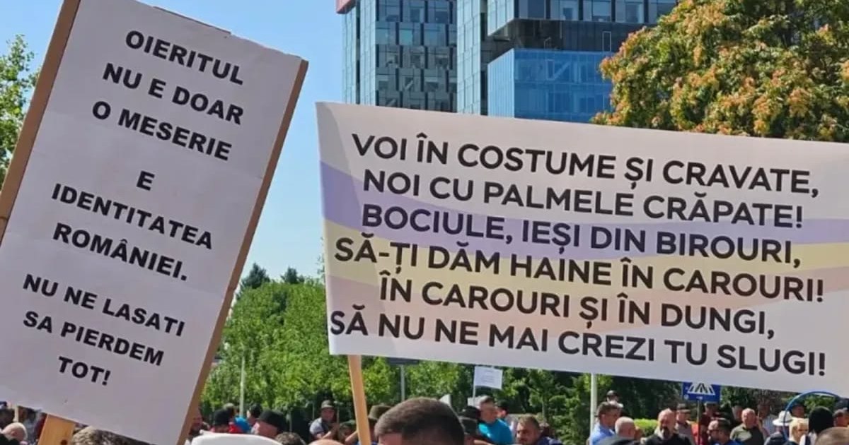 Fermierii protestează în Piața Victoriei: 15 revendicări și blocarea exporturilor de animale vii
