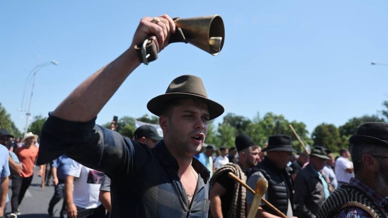 Protest de oieni în Piața Victoriei: Crescători de animale protestează în fața Guvernului