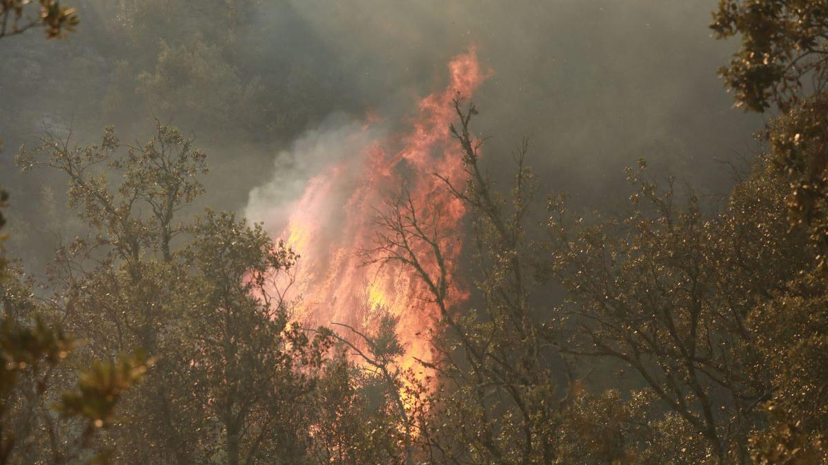 Un obiect, posibil o dronă, a căzut în zona Plaurului, în Tulcea. S-a produs un incendiu