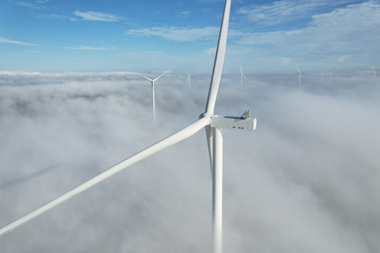 Primul mare proiect eolian din România din ultimul deceniu a fost pus în funcțiune în Buzău