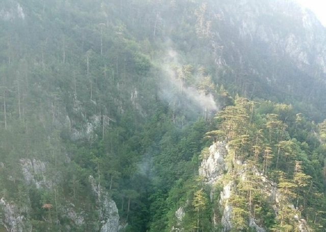 Ministerul Mediului propune noi norme pentru prevenirea incendiilor de pădure