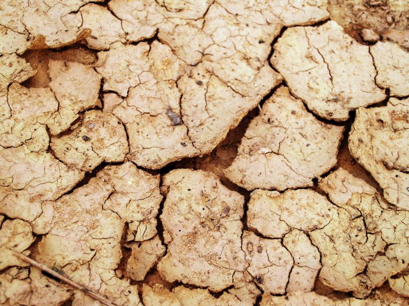 Seceta crește costurile de semănat în Olt. Fermierii se confruntă cu cheltuieli mari la motorină și îngrășăminte