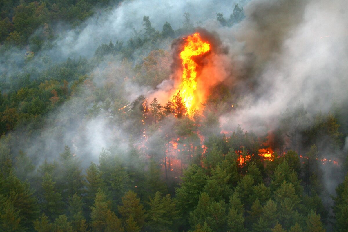 Plan de intervenție aprobat pentru incendiul din Parcul Național Retezat