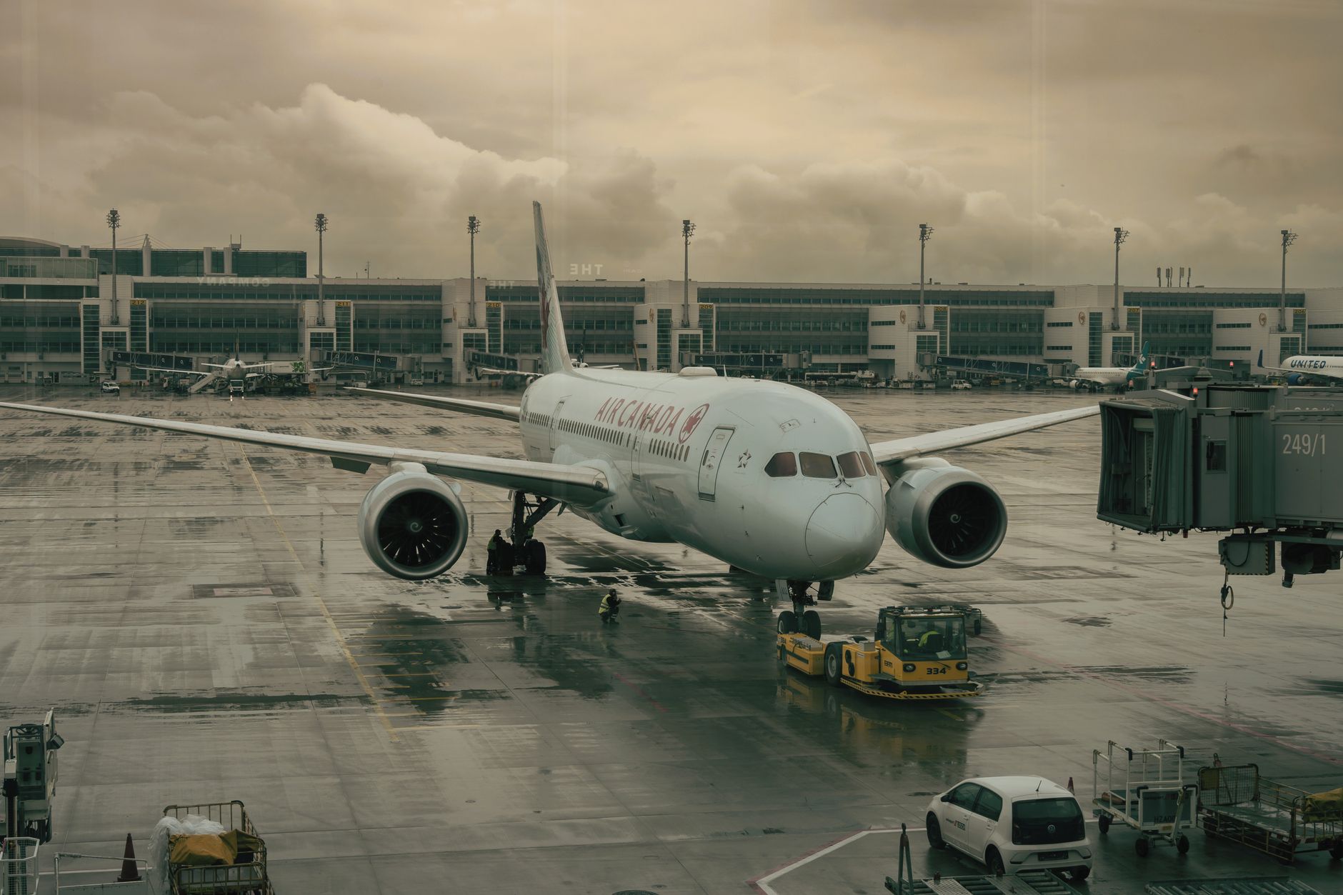 Ministerul Transporturilor evaluează situația financiară a companiei AnimaWings