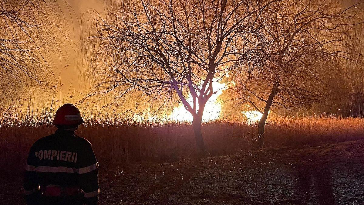 Val de incendii de vegetație în județul Timiș: peste 44 de hectare au ars în 24 de ore