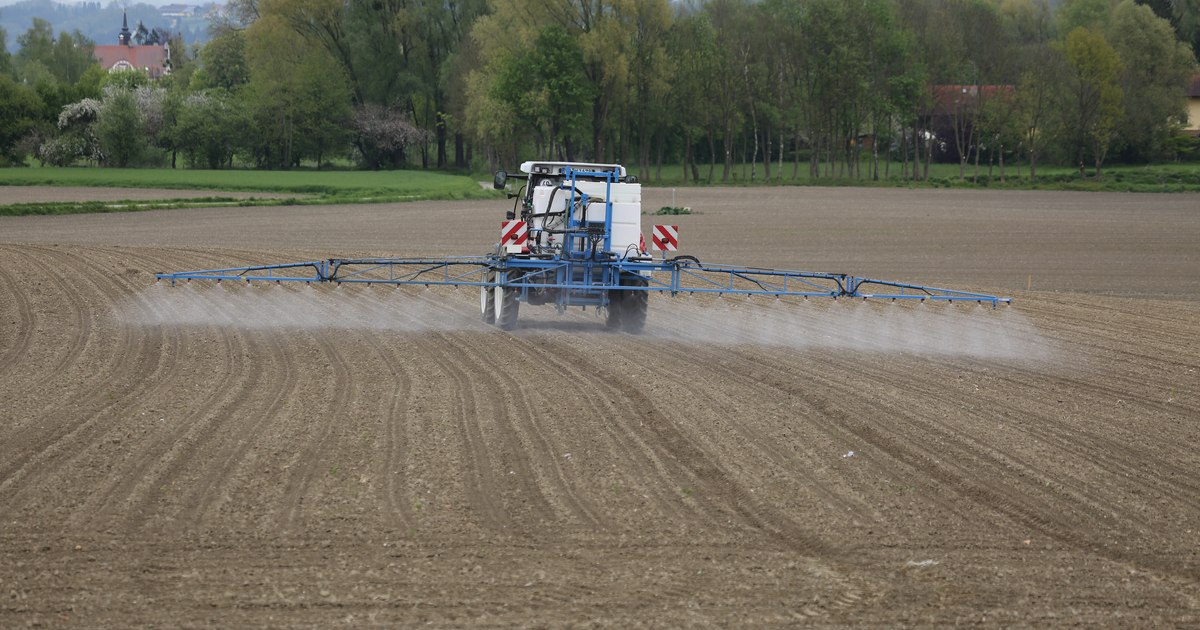 Reforma Politicii Agricole Comune ar putea reduce bugetul pentru agricultura din România