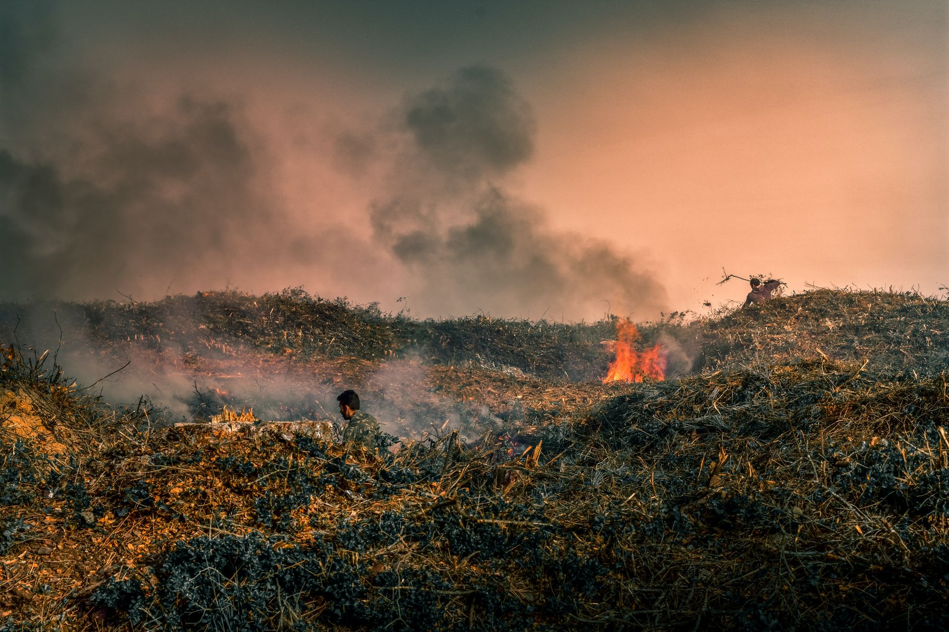 Incendiu pe un câmp în localitatea Băleni, județul Dâmbovița: s-a emis alertă RO-Alert
