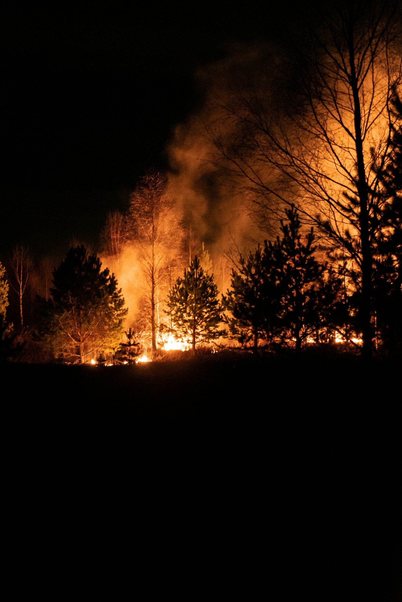 Incendii de vegetație în județele Timiș și Teleorman: zeci de hectare afectate de arderi necontrolate