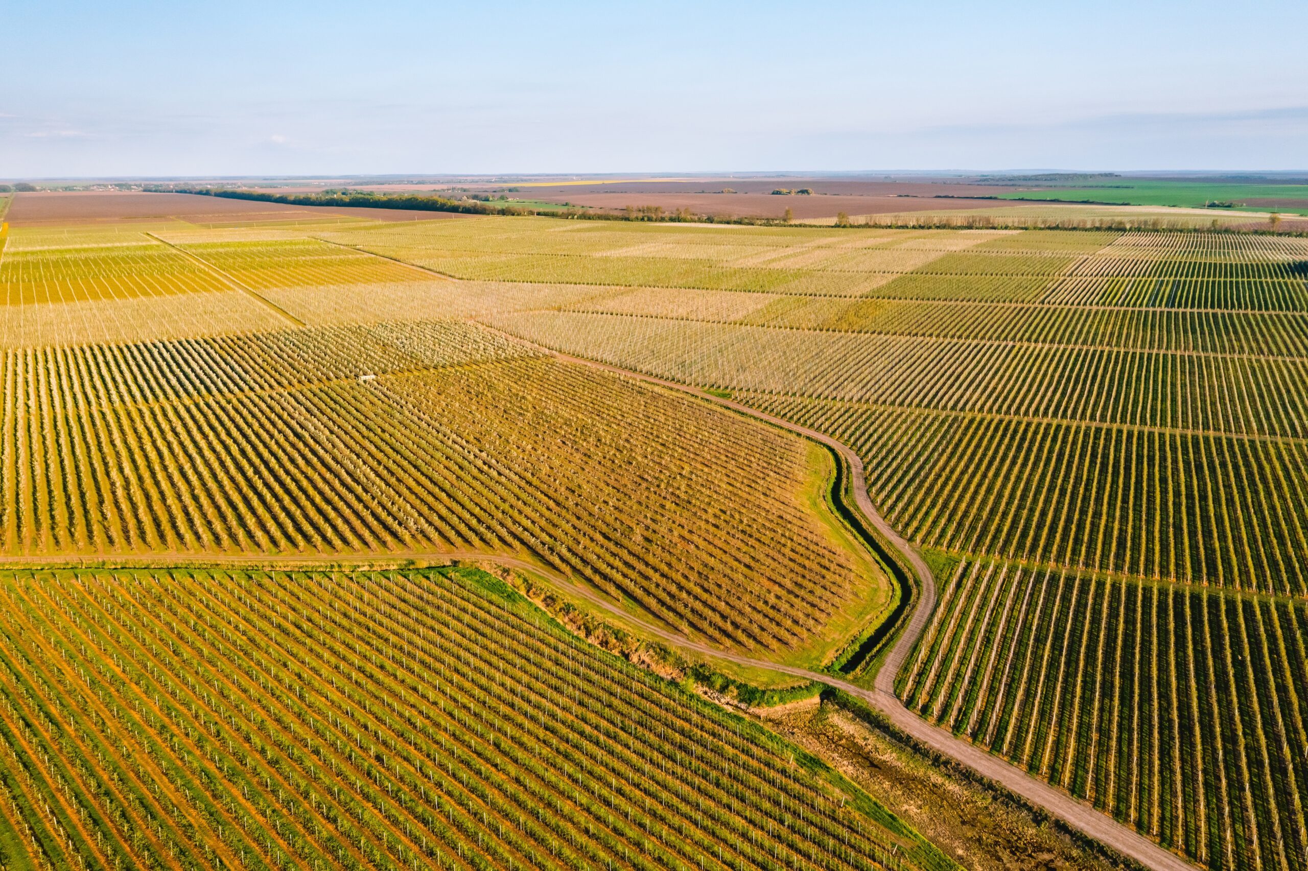 Prețul mediu pentru terenul agricol în Sibiu: diferențe enorme între localități