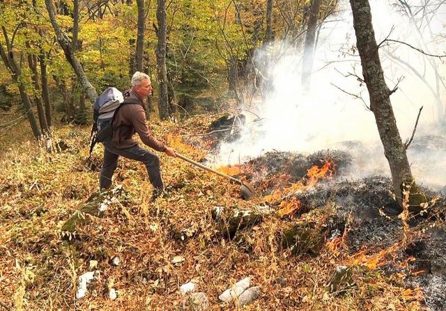 Incendiu masiv în Parcul Național Domogled – Valea Cernei: peste 130 de forțe luptă cu flăcările