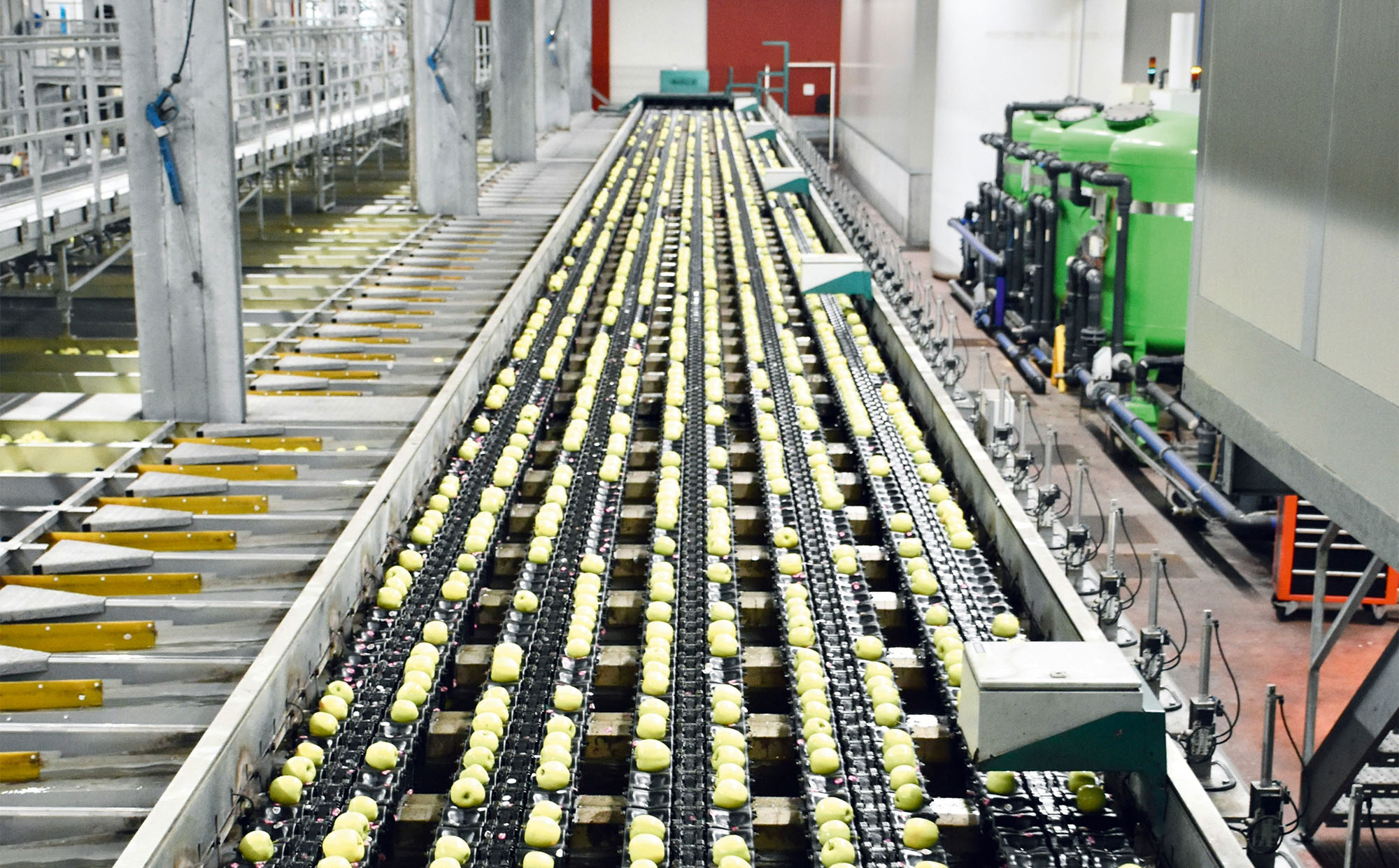 Proiectul România 2050: Trecerea de la economia consumului la cea a producției și investițiilor