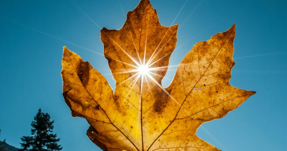 Prognoza meteo până la jumătatea lunii octombrie: temperaturi ridicate și ploi locale în România