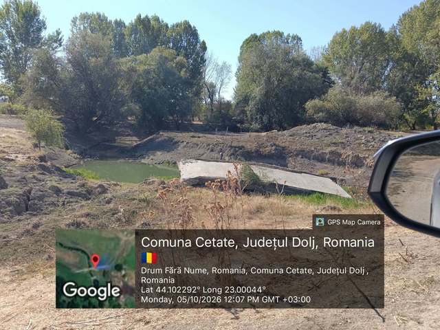 Amendă de 40.000 de lei pentru ferma de vite Black Angus a lui Gigi Nețoiu
