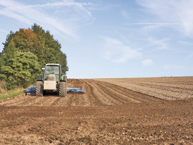Agrotex Satu Mare a înregistrat afaceri de 583 mil. lei și a revenit pe profit în 2025