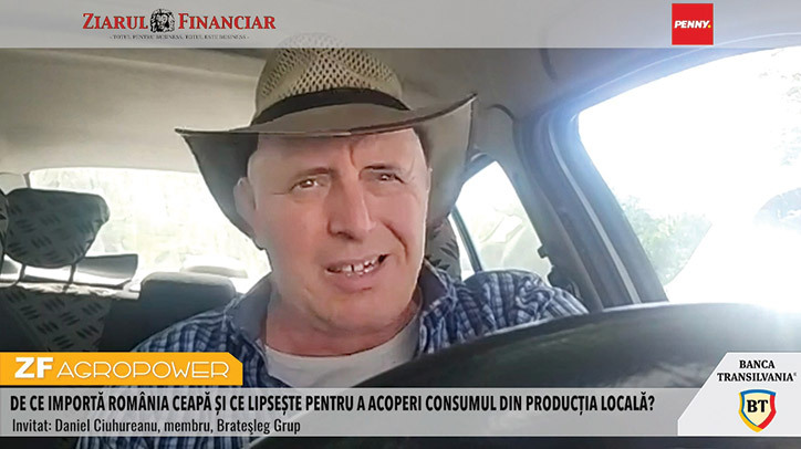 Cât costă cultivarea cepei în România: investiții uriașe și riscuri de piață pentru fermieri