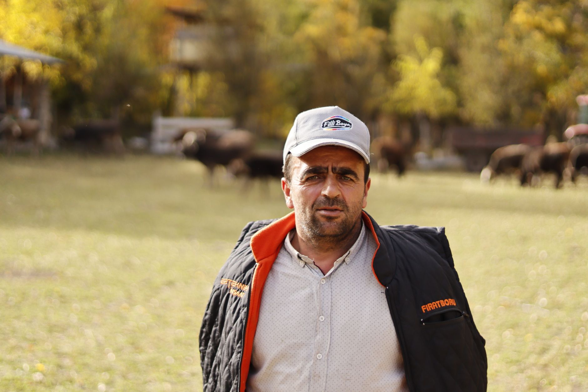 Libia evaluează condițiile pentru reluarea importului de animale vii din România