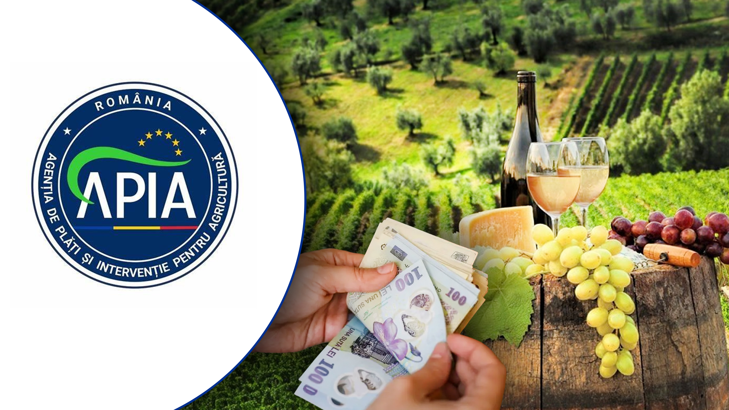 APIA oferă sprijin financiar pentru asigurarea recoltelor de struguri, cu până la 80% din costul primelor