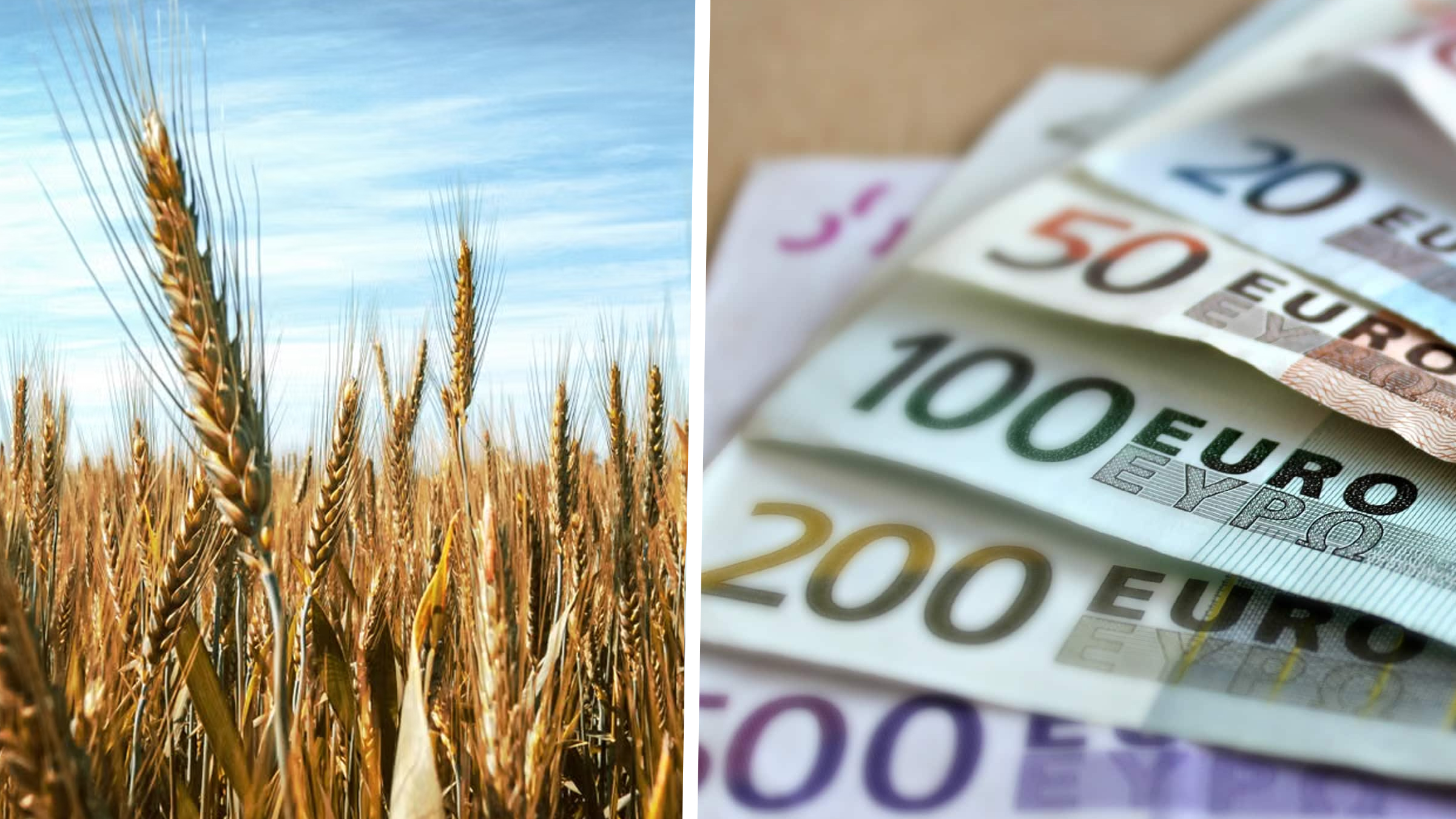Lansată noua linie de finanțare pentru tineri fermieri prin DR-12: primele cereri depuse la AFIR