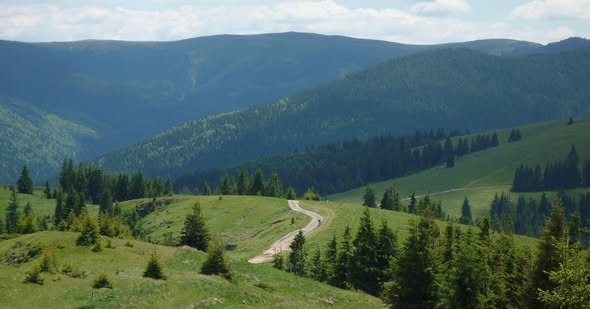 Pădurea Craiului devine oficial a șaptea destinație ecoturistică recunoscută din România