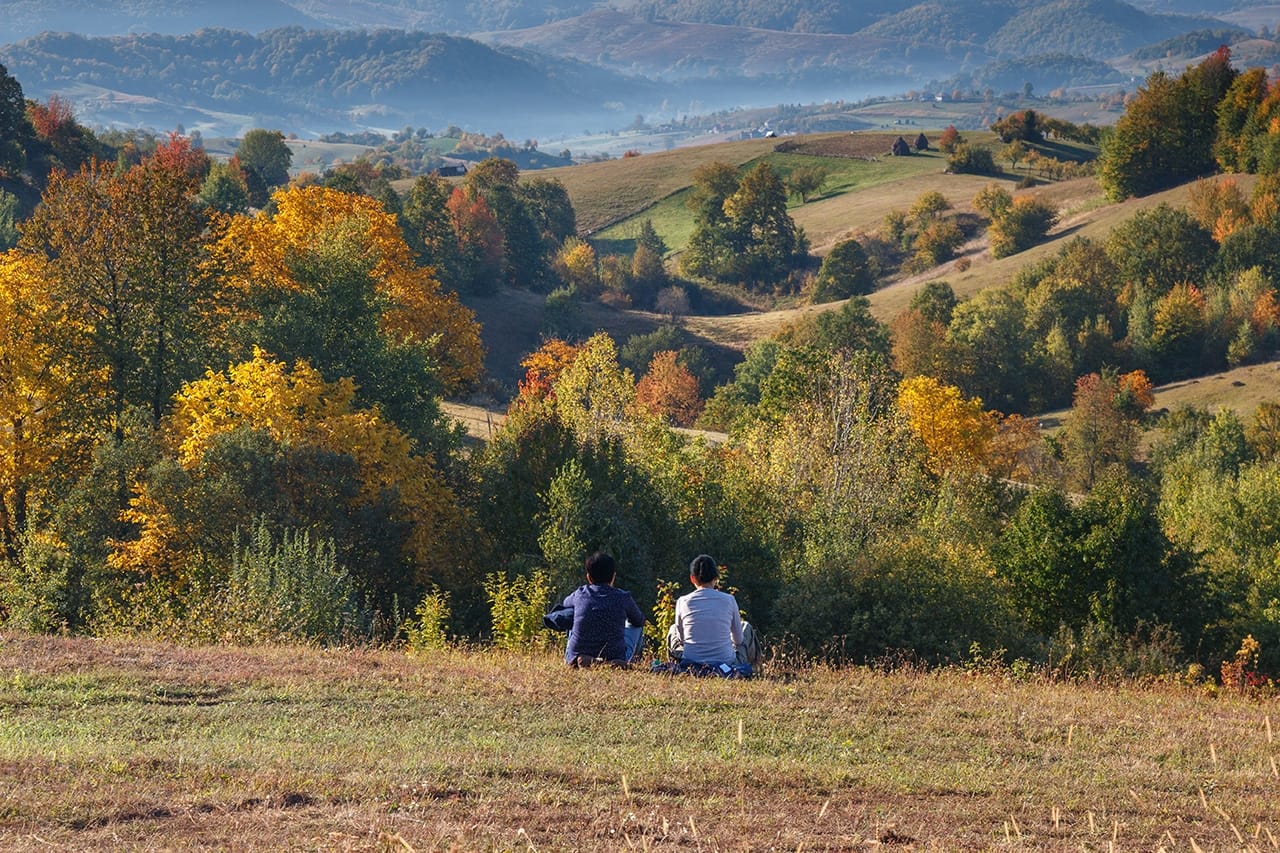 Pădurea Craiului din județul Bihor primește statutul oficial de destinație ecoturistică