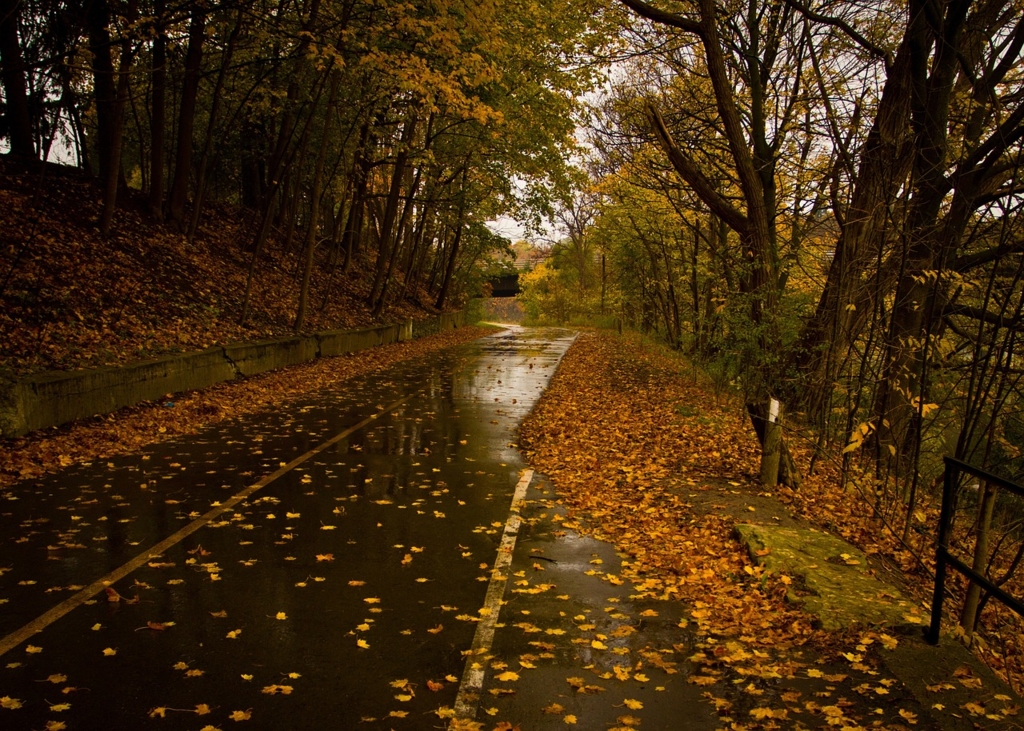 Prognoza meteorologică pentru perioada 12 octombrie - 9 noiembrie: se anunță variații în regimul de precipitații