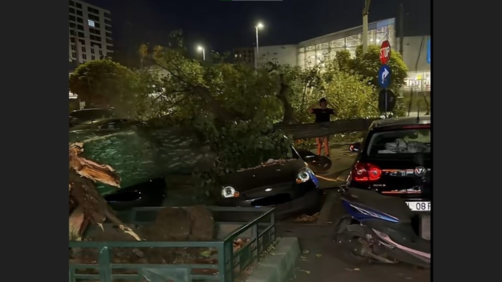 Incident grav în Sectorul 6: Un copac masiv s-a prăbușit peste mașini și o motocicletă pe Bulevardul Iuliu Maniu