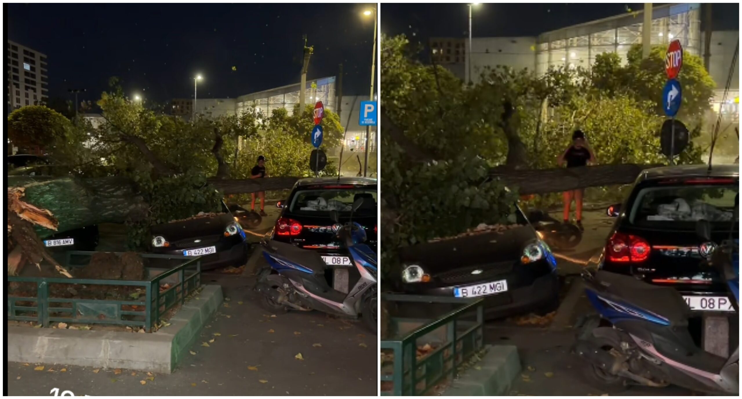 Un copac de mari dimensiuni a căzut peste mașini și un motociclist pe bulevardul Iuliu Maniu