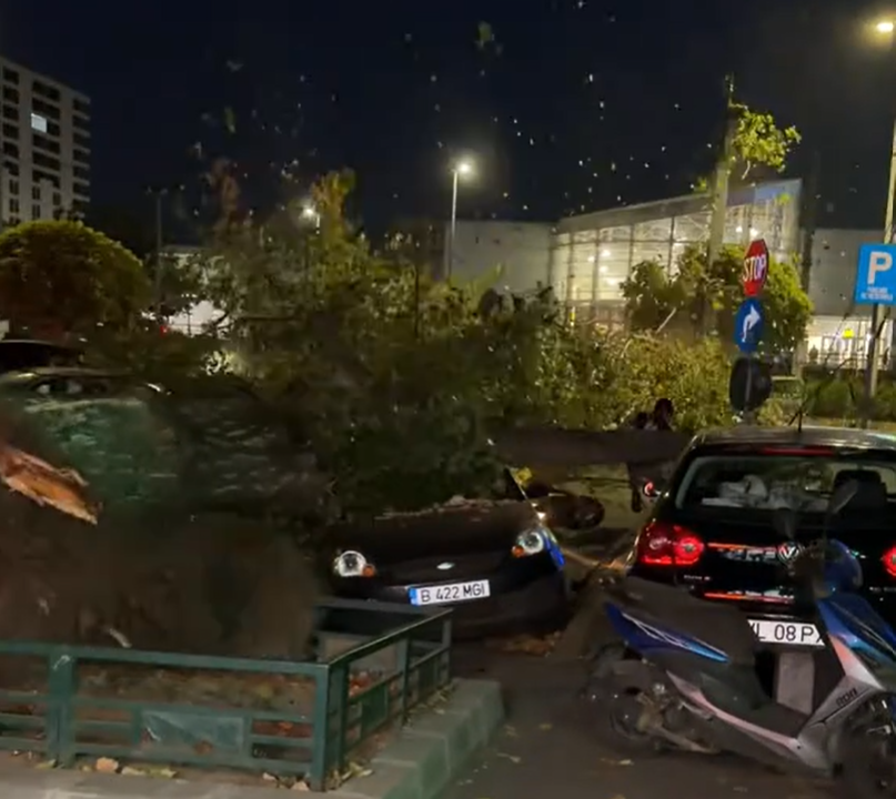 Un copac s-a prăbușit peste mașini și un scuter pe Bulevardul Iuliu Maniu, în Sectorul 6