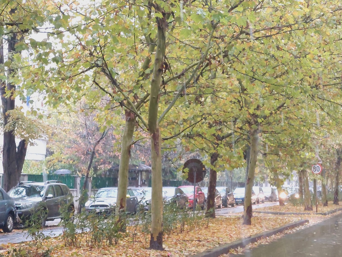 Cod galben pentru ploi abundente în sudul țării și schimbare bruscă de temperatură în București