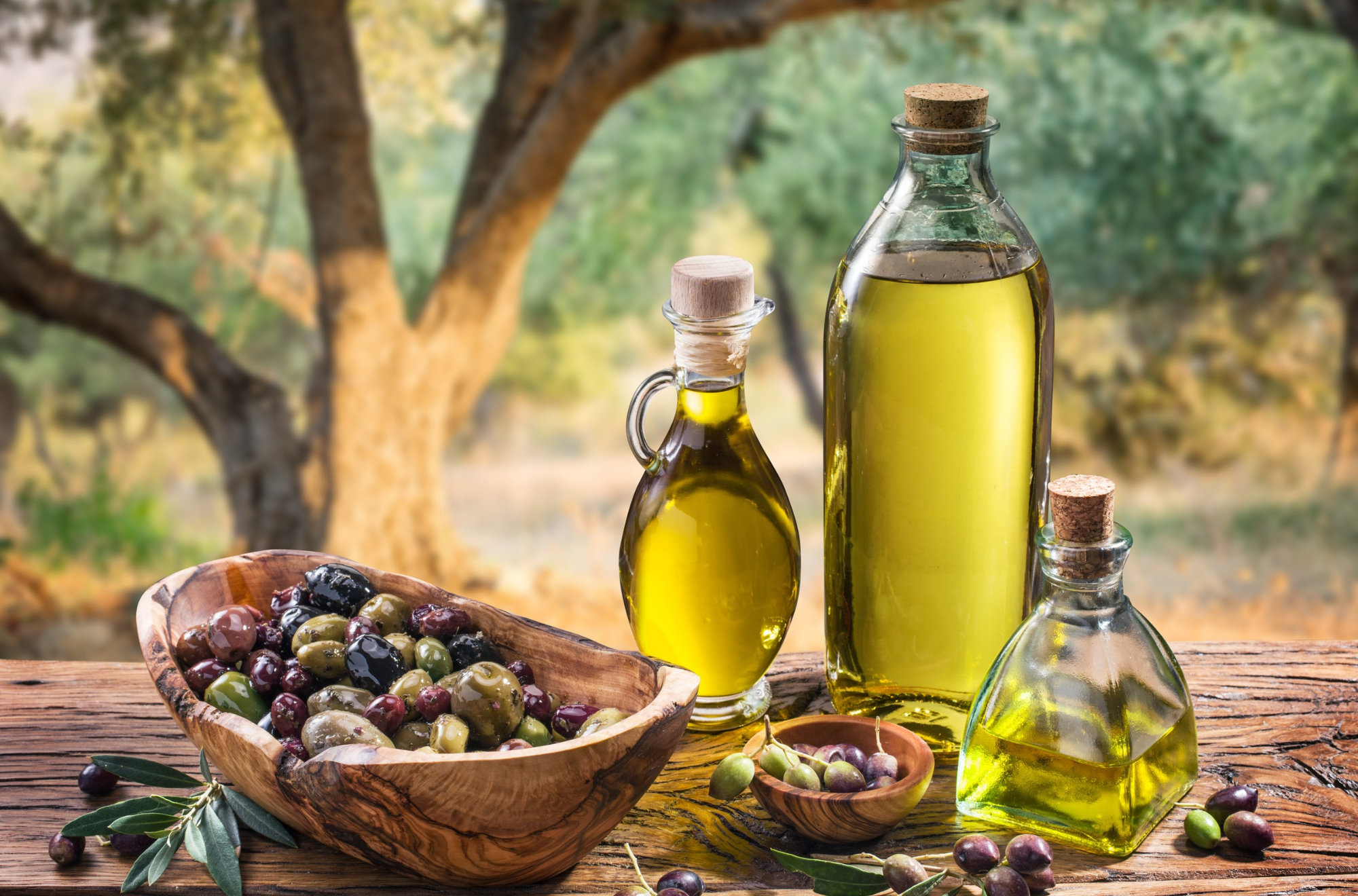 Antreprenorii români produc ulei de măsline de calitate în Grecia