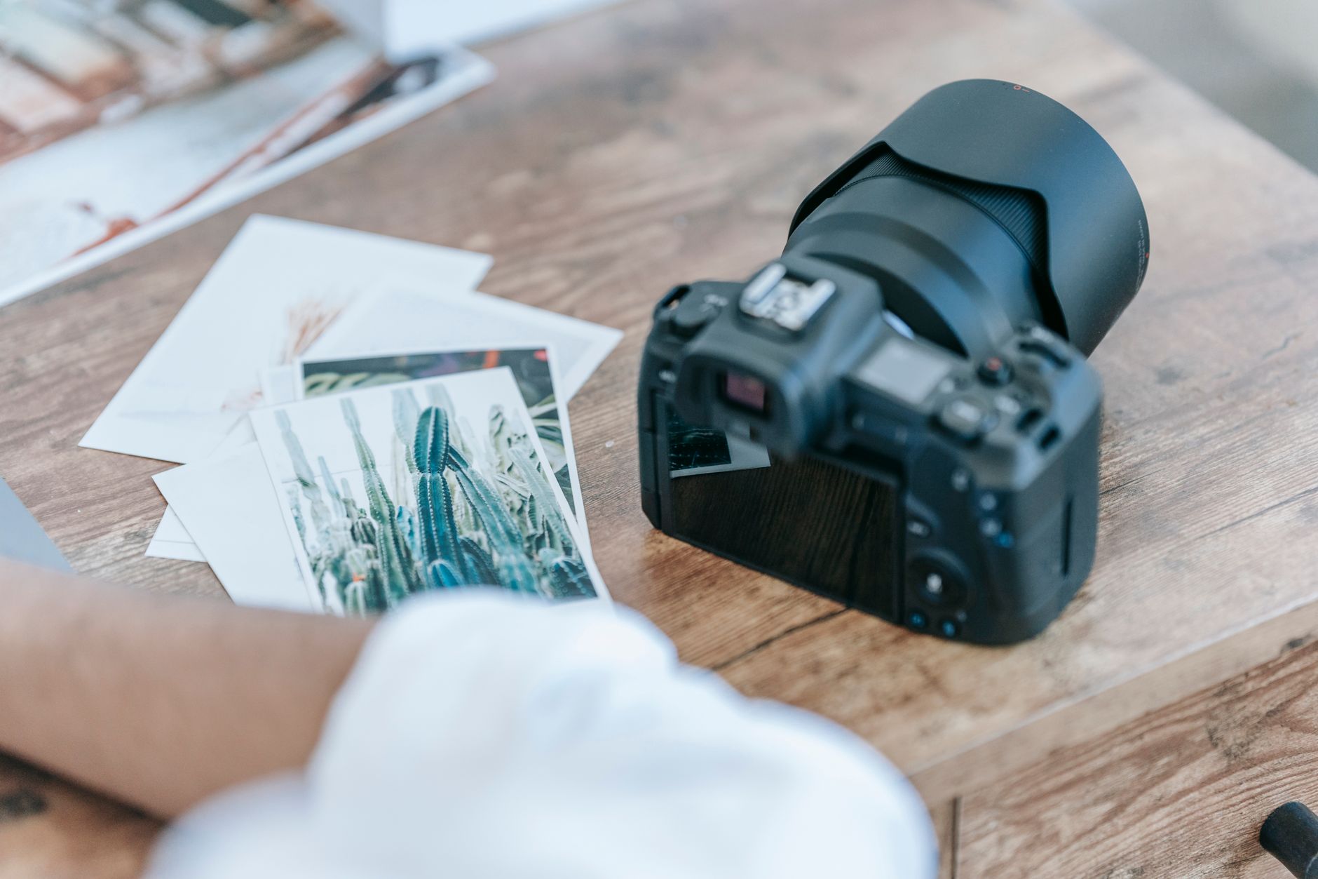 E-commerce în nișa foto-video: Photosetup mizează pe automatizare și showroom în context economic complicat