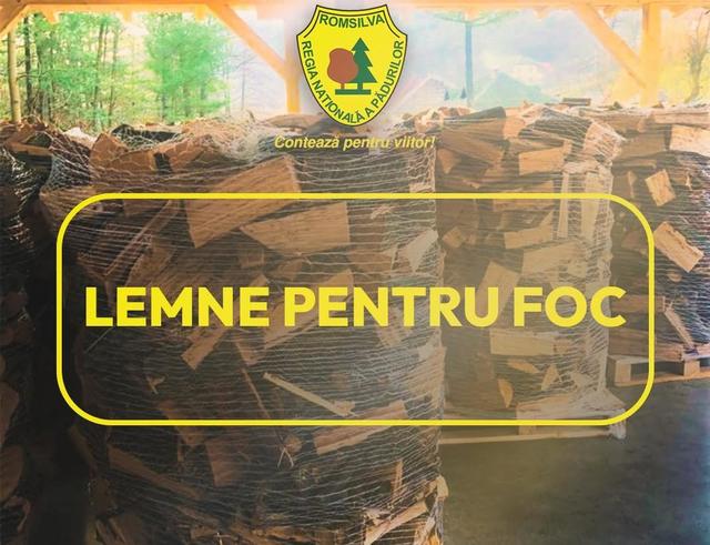 Romsilva va oferi 2 milioane de metri cubi de lemn pentru foc în 2026